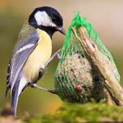 Distributeur de boules de graisses pour Oiseaux